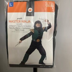 Youth Master Ninja Costume - Green & Black (Size Large)